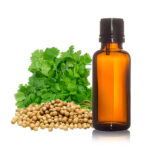 coriander seed oil