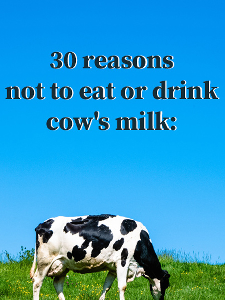 30 reasons not to drink cow milk